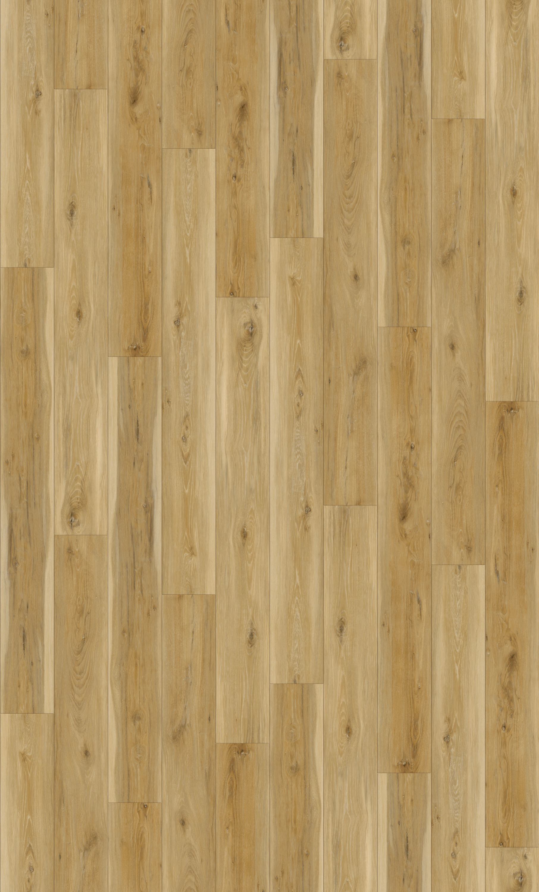 ORGW-622L-2 Installation.jpg